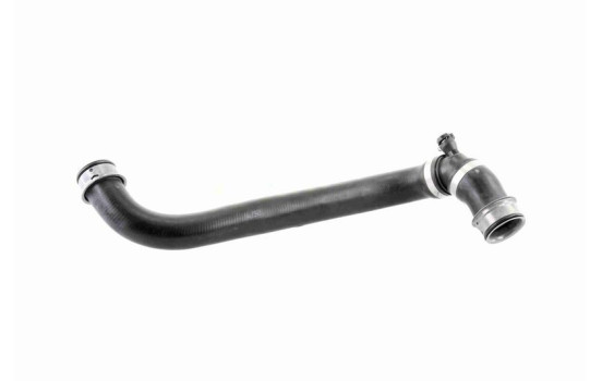 Radiator Hose Q+, original equipment manufacturer quality, Image 2