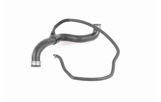 Radiator Hose Q+, original equipment manufacturer quality, Image 9