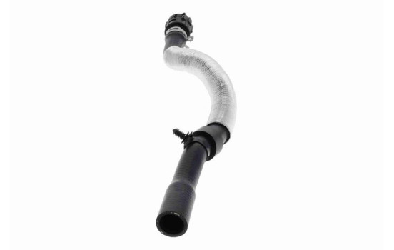 Radiator Hose Q+, original equipment manufacturer quality, Image 5