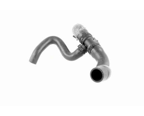 Radiator Hose Q+, original equipment manufacturer quality, Image 6