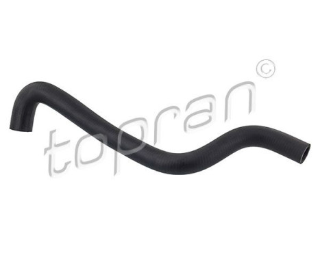 Radiator Hose