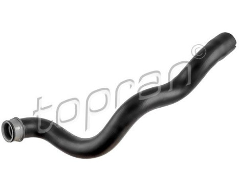 Radiator Hose