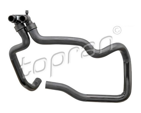 Radiator Hose