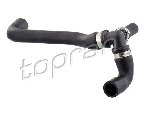 Radiator Hose