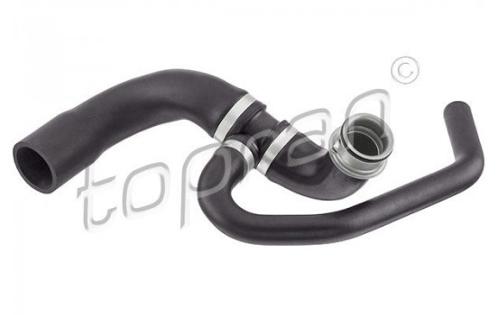 Radiator Hose