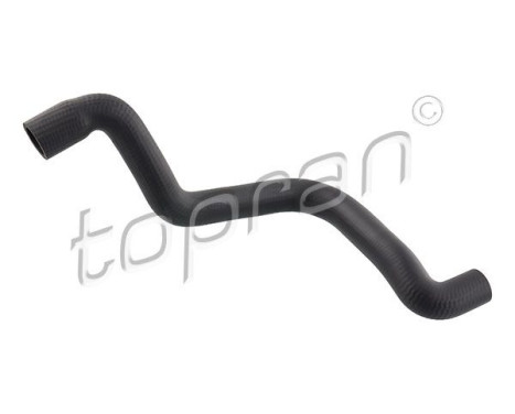Radiator Hose