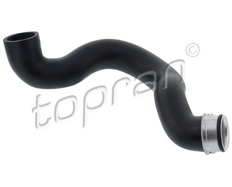Radiator Hose