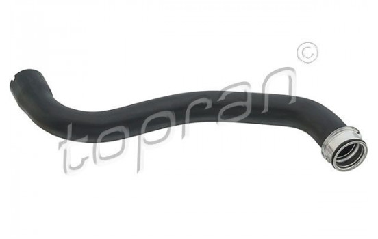 Radiator Hose