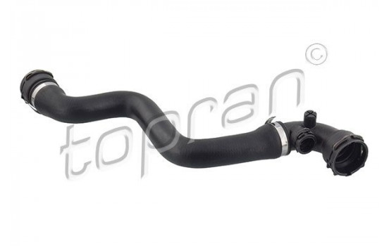 Radiator Hose