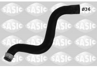 Radiator Hose