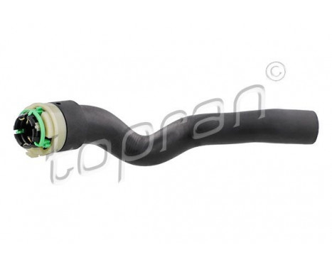 Radiator Hose