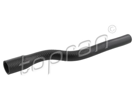 Radiator Hose