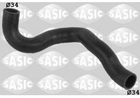 Radiator Hose