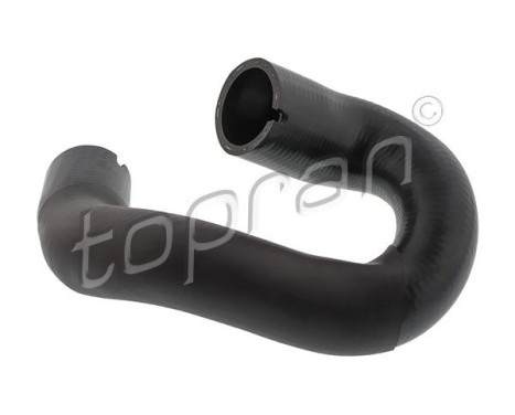 Radiator Hose