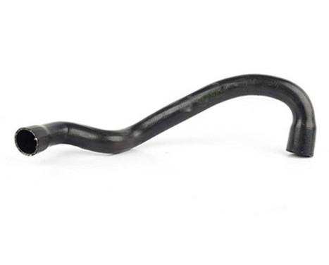 radiator hose