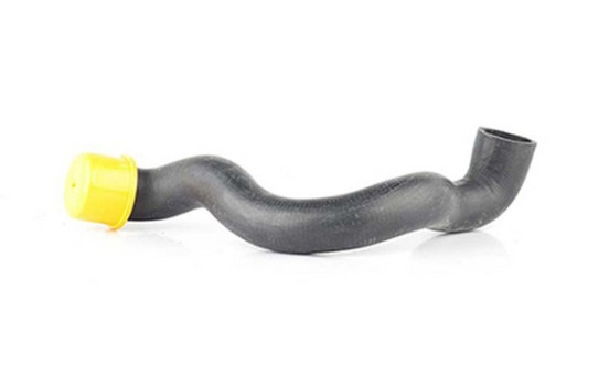radiator hose