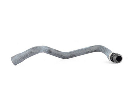 radiator hose