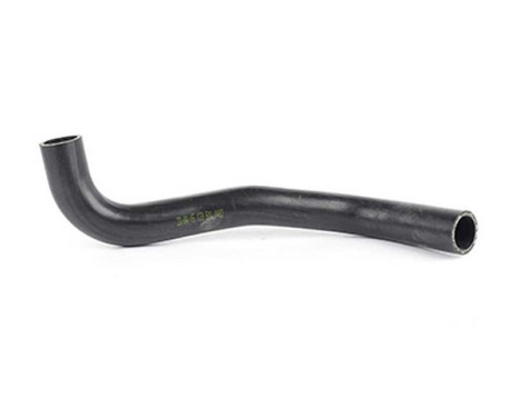 radiator hose