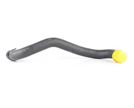 radiator hose