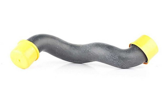 radiator hose