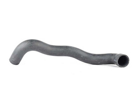 radiator hose