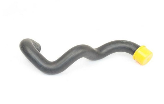 radiator hose
