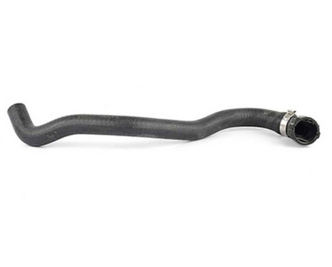 radiator hose
