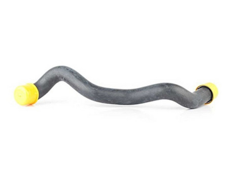 radiator hose