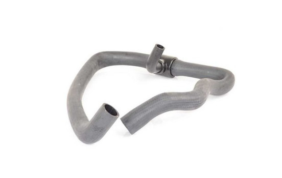 radiator hose
