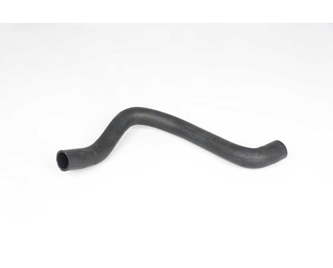 radiator hose
