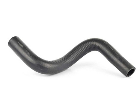 radiator hose