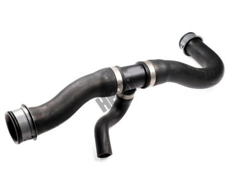 Radiator hose