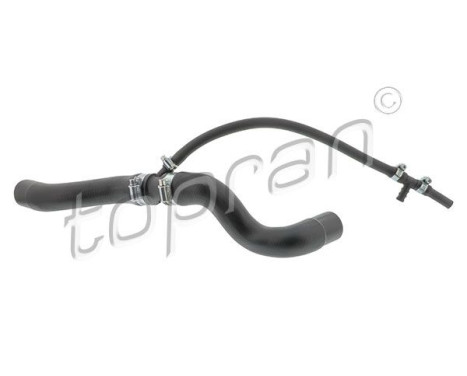 Radiator Hose