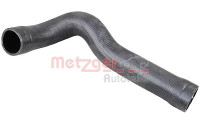Radiator hose