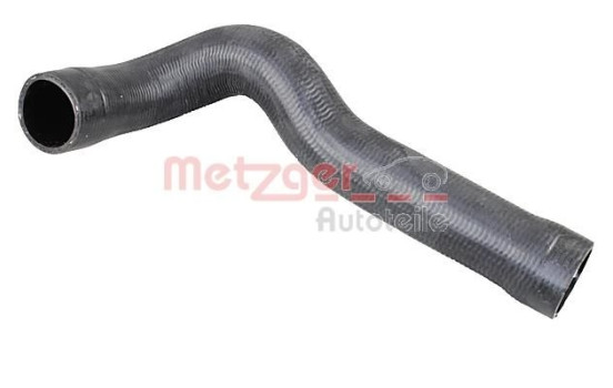 Radiator hose