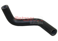 Radiator hose