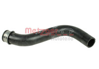Radiator hose