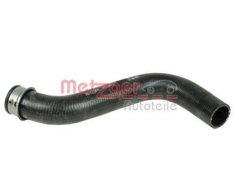 Radiator hose