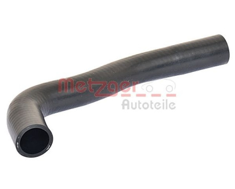Radiator hose