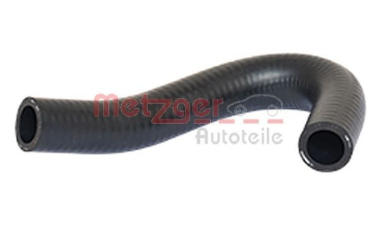 Radiator hose