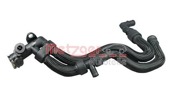Radiator hose