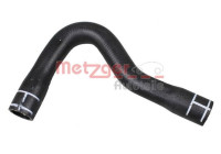 Radiator hose