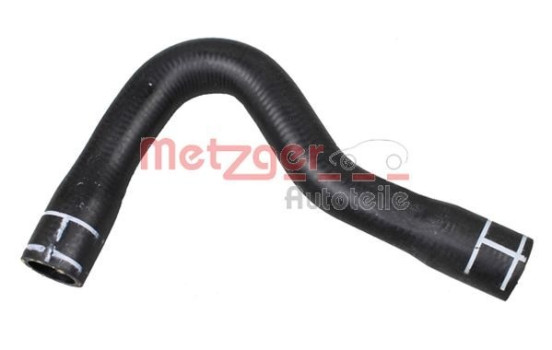 Radiator hose