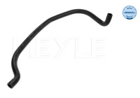 radiator hose
