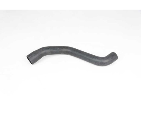 radiator hose, Image 2