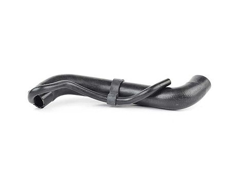radiator hose, Image 2