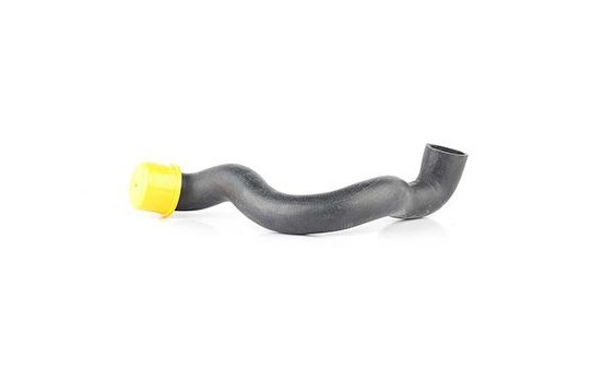 radiator hose, Image 2
