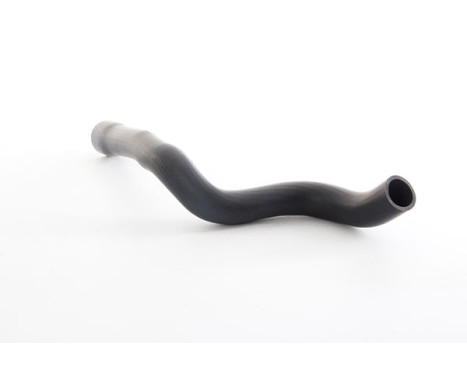 radiator hose, Image 2