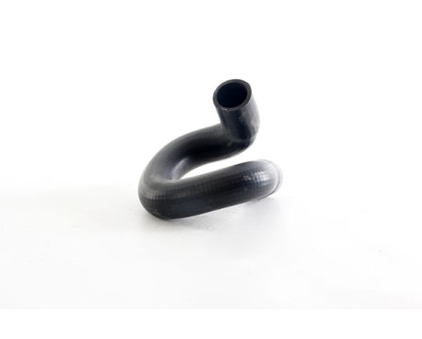 radiator hose, Image 2