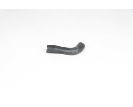radiator hose, Image 2